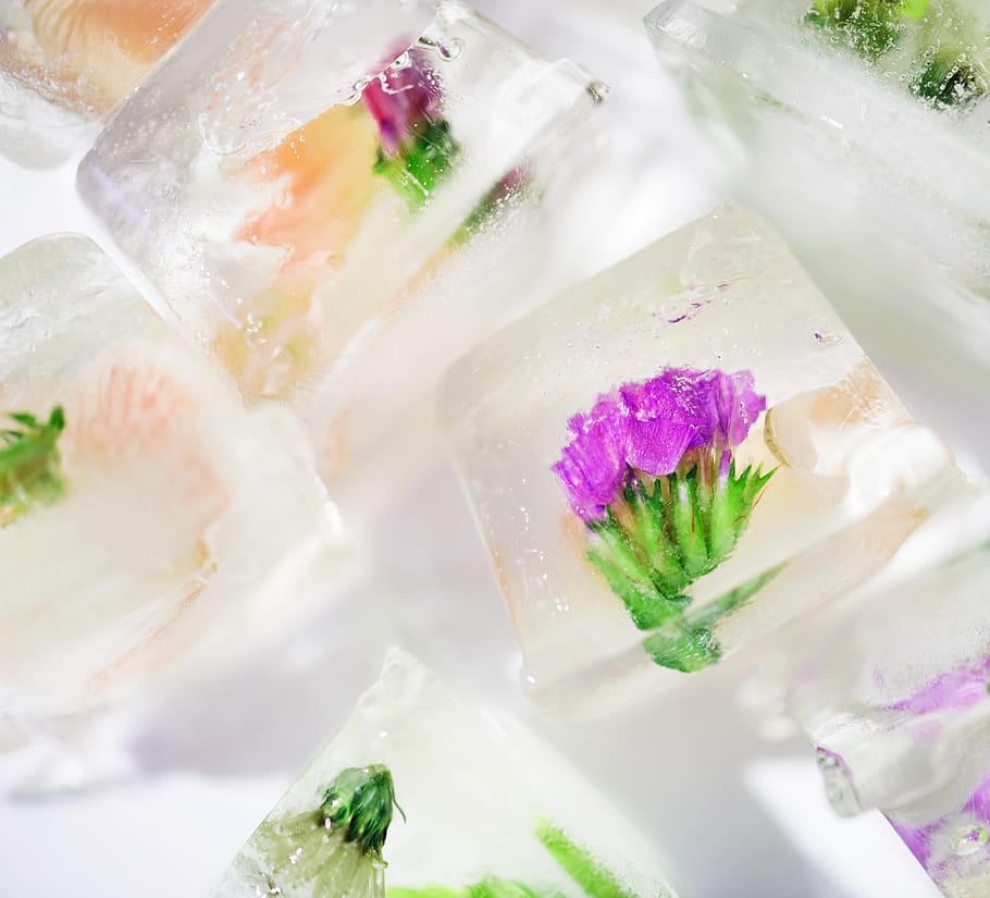 White Floral Ice Cube, art, background, beautiful, bright, close-up HD wallpaper