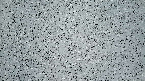 Water Drops Vector Art, abstract, background, bubble, clear, dew HD wallpaper