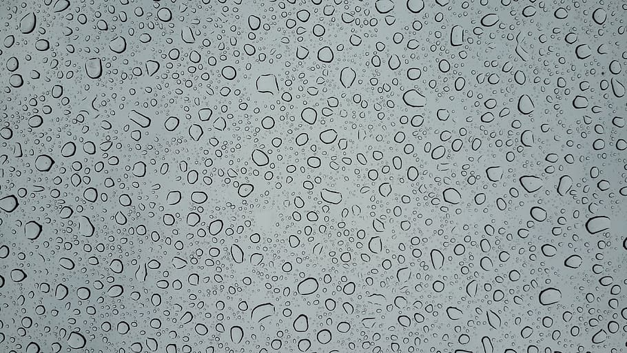 Water Drops Vector Art, abstract, background, bubble, clear, dew HD wallpaper