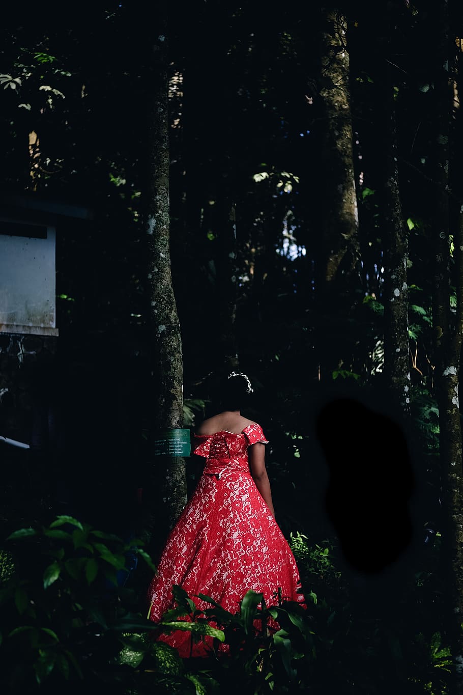 indonesia, bandung, bride, red gown, wood, lost, runaway bride, HD wallpaper