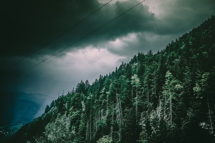 Green Trees On Mountain, cloudy, environment, forest, landscape HD wallpaper