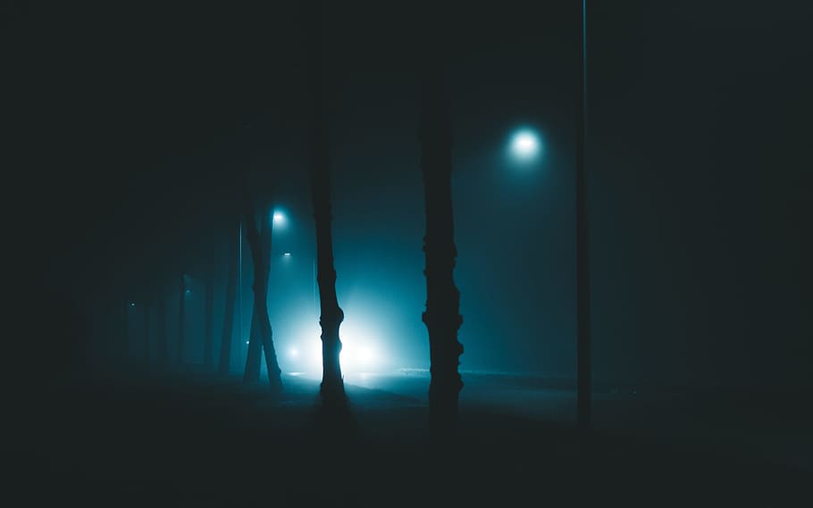 tree, light, mist, fog, silhouette, car, vehicle, blue, dark HD wallpaper