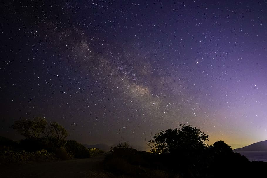 Silhouette of Tree Under Nebula, astrology, astronomy, backlit HD wallpaper