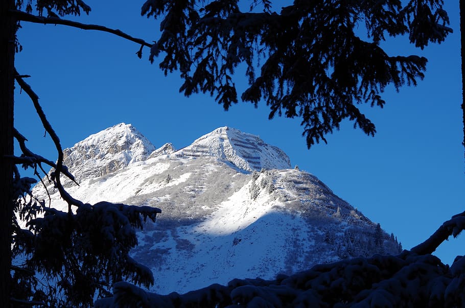 winter, snow, cold, nature, landscape, alpine, wintry, snow landscape HD wallpaper