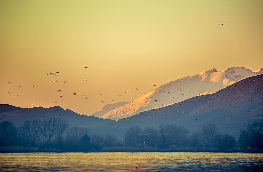 mountain photography, sky, bird, beauty in nature, scenics - nature HD wallpaper