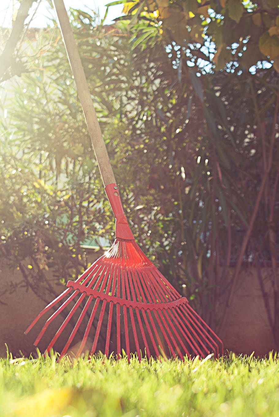 france, codognan, red, green, garden, trees, grass, rake, lights HD wallpaper
