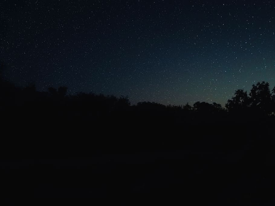 forest, tree, sky, star, evening, twilight, silhouette, space HD wallpaper