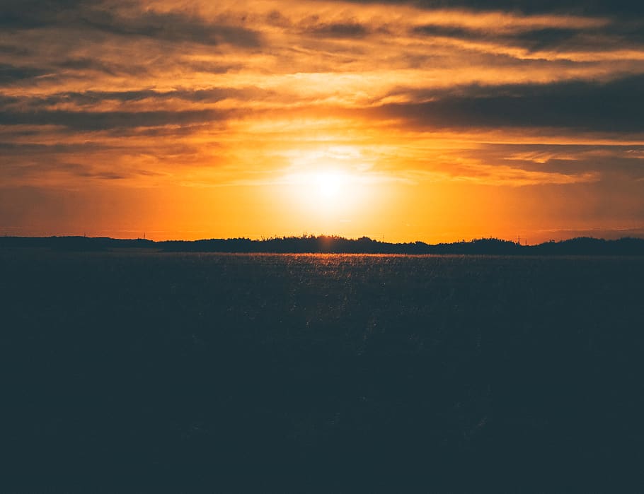 romania, oradea, trees, sun, sunset, light, field, mood, rye HD wallpaper