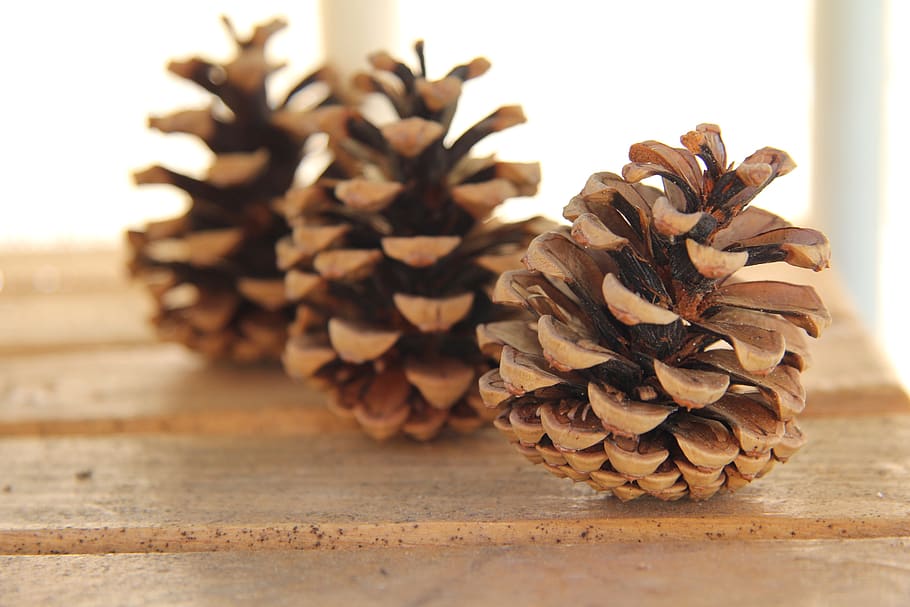 cone, wood, pine cone, table, no people, close-up, wood - material HD wallpaper