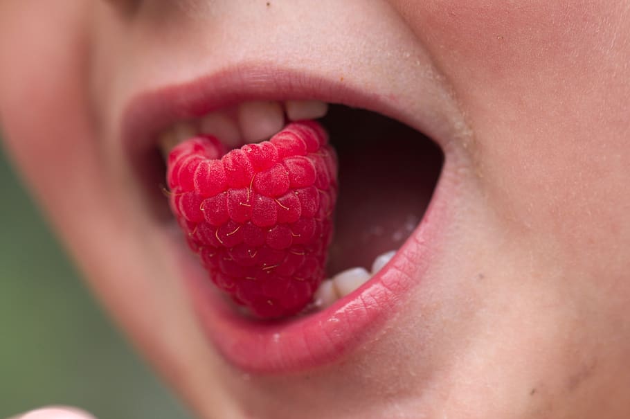 child, raspberry, summer, happy, red, food, bio, benefit from HD wallpaper