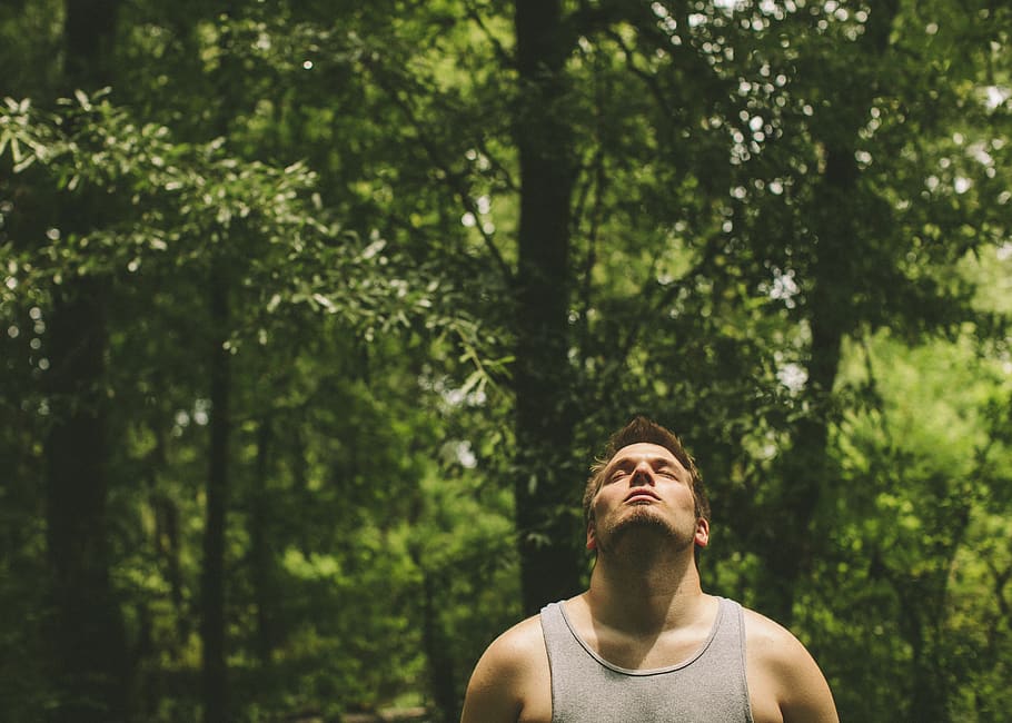 man closing eyes, tree, plant, one person, headshot, lifestyles HD wallpaper