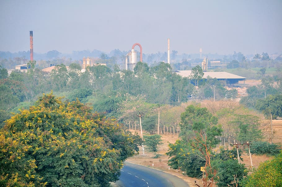 india, velapur, tree, plant, building exterior, architecture HD wallpaper