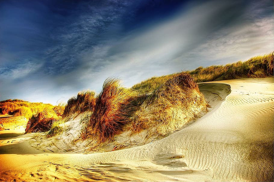 Grass Under Cloudy, blue, clouds, dunes, landscape, quiet, sand HD wallpaper