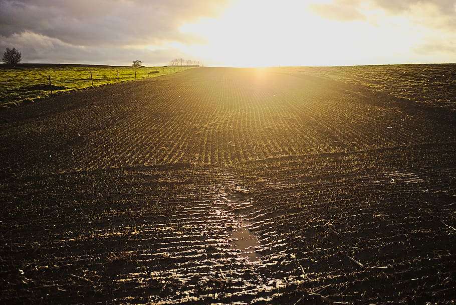 belgium, sart-risbart, mud, field, flare, sun, dirt, sky, sunlight HD wallpaper