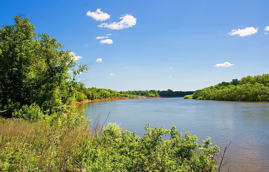 con2011, environment, environmental, green, image, nature, peace HD wallpaper