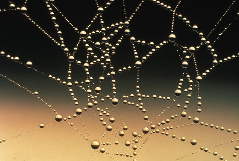 Close-up Photography of Water Drops, art, cobweb, connection HD wallpaper