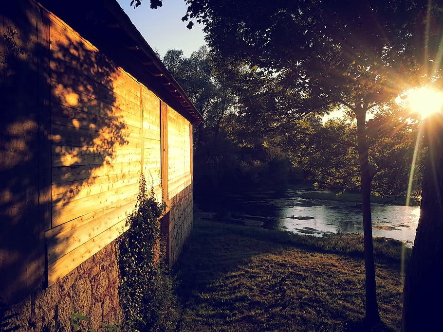 house, sunlight, bright, point, tree, lake, plant, water, nature HD wallpaper