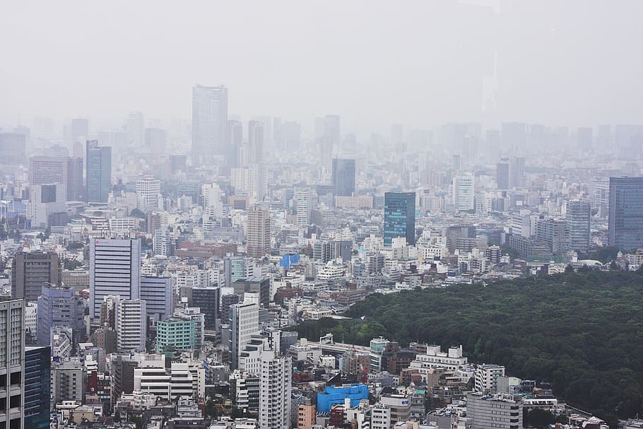 Токио здания. Мусутафу Япония город. Tokyo building.