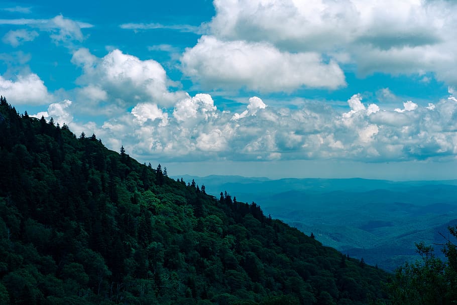 united states, devil's courthouse, forest, sky, clouds, blue ridge HD wallpaper