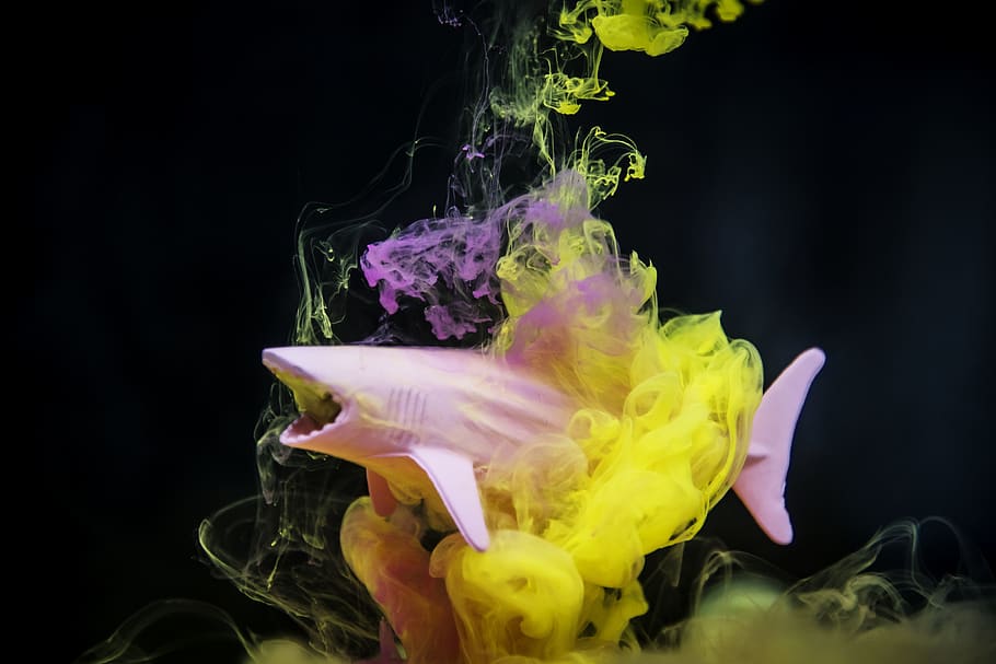 Pink Shark Toy, acrylic, art, background, beautiful, black background HD wallpaper