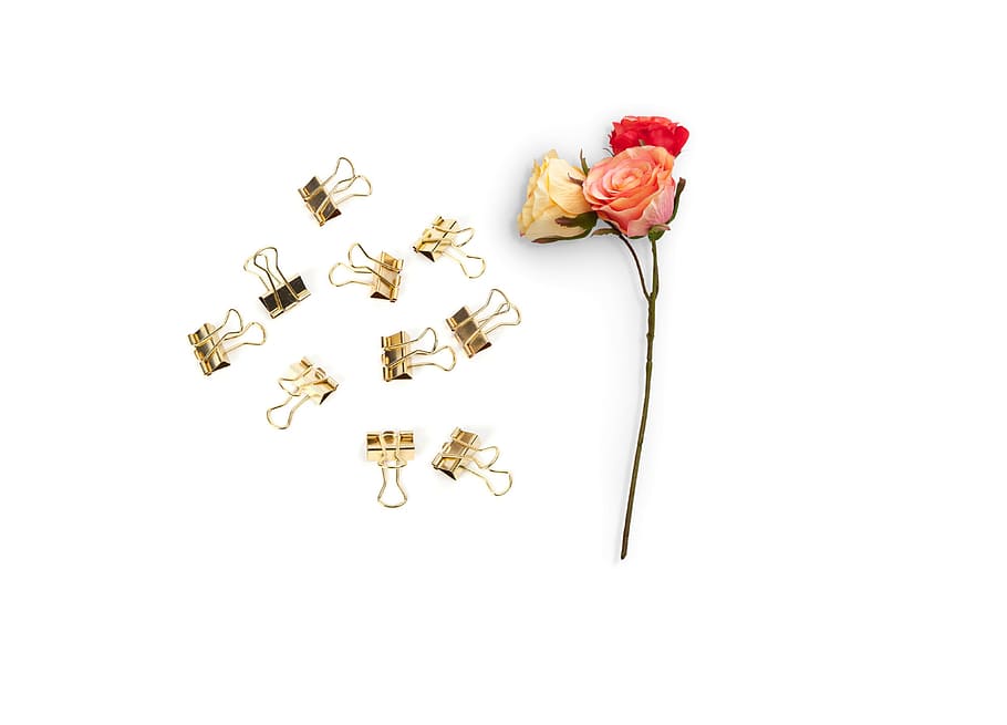 romantic, flowers, paper clips, roses, color, decoration, design, HD wallpaper
