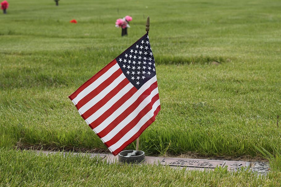 billings, mt, flag, grass, patriotism, striped, plant, star shape HD wallpaper