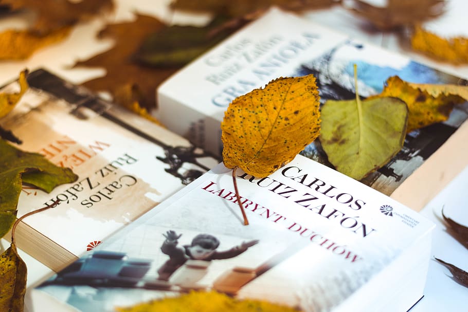 leaf on book, text, communication, no people, close-up, still life HD wallpaper