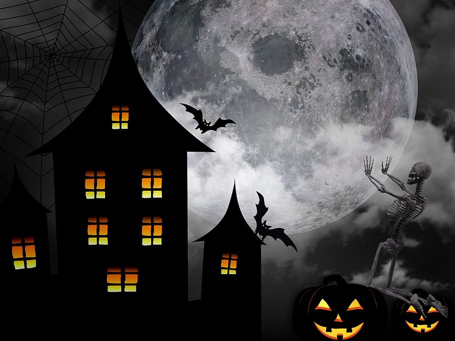 halloween, ugh, fear, horror, mysterious, black, chilling, fantasy, HD wallpaper