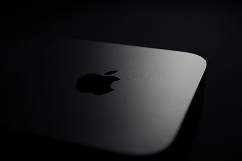 computer, phone, electronics, bird, animal, mobile phone, cell phone HD wallpaper