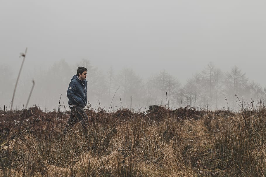 Man Walking on Grass Field, alone, daylight, environment, foggy HD wallpaper