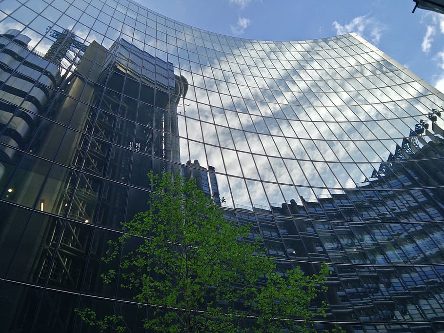 london, united kingdom, windows, reflection, tree, cloud, sky HD wallpaper