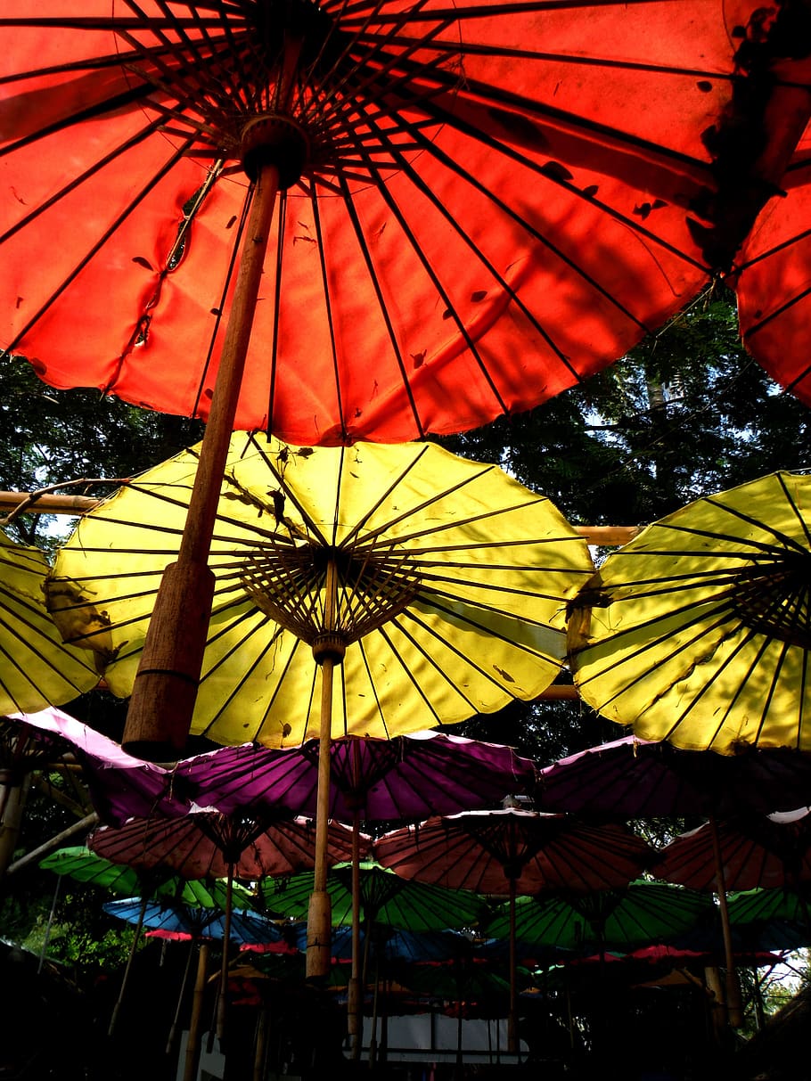 umbrella, sky, decorated, low angle view, multi colored, parasol HD wallpaper