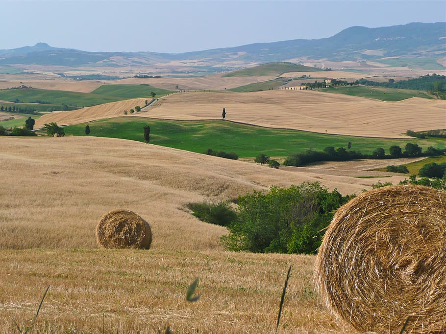 italy, pienza, landscape, environment, agriculture, field, tranquil scene HD wallpaper