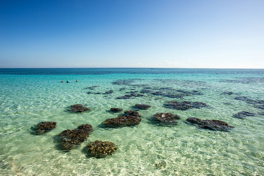 ocean, swimmers, beach, sea, water, beauty in nature, scenics - nature HD wallpaper