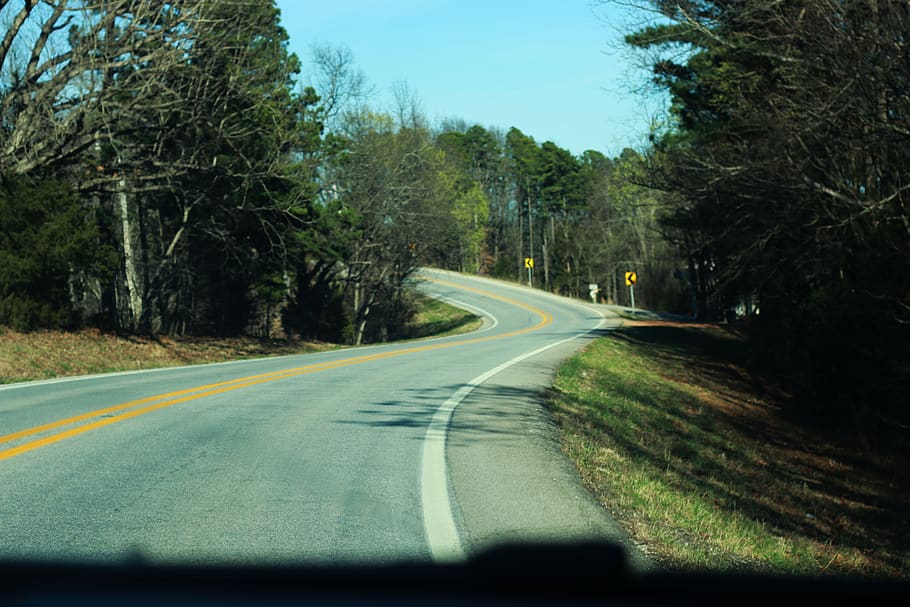 road, trees, car, driving, turn, winding road, curve, plant HD wallpaper