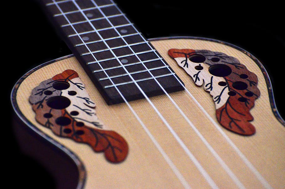 brown and black ukulele, guitar, musical instrument, leisure activities HD wallpaper