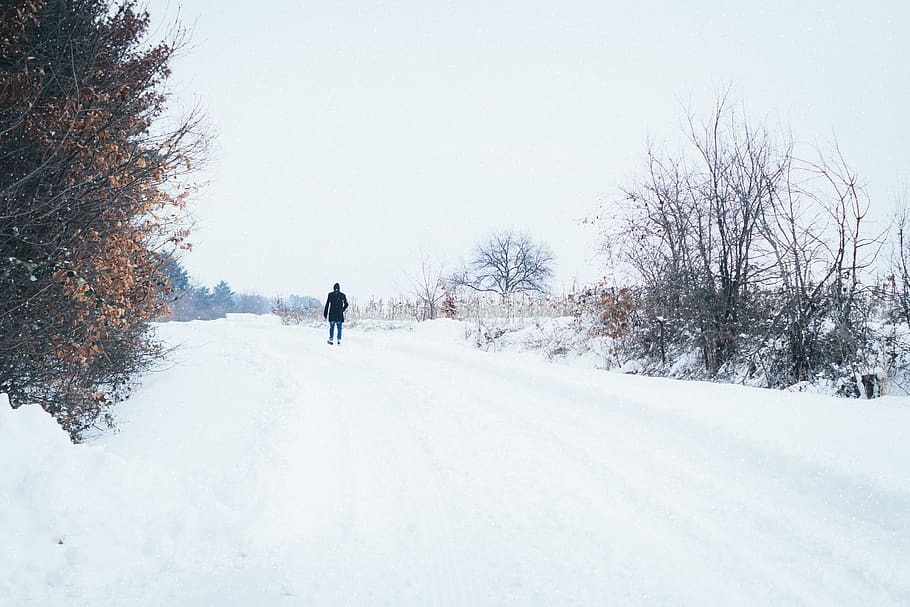 Man Walking on Dirt Road Covered by Snow, cold, fog, forest, zing HD wallpaper