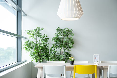 ikea, table, dining, chair, lamp, plant, natural, lifestyle HD wallpaper