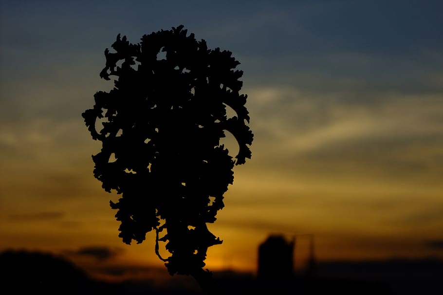 peru, cajamarca, sky, sunset, silhouette, beauty in nature HD wallpaper