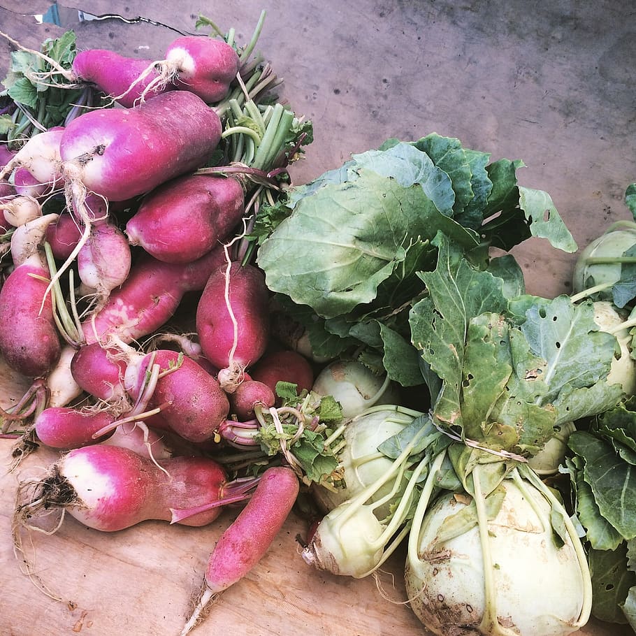 united states, columbia, main street, radishes, garden vegetable, HD wallpaper