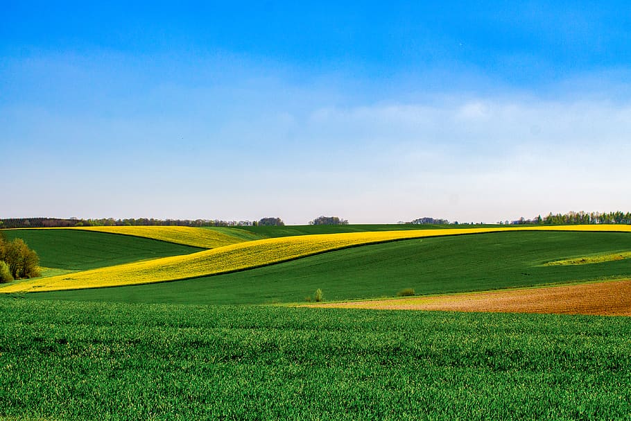 Green Field, agriculture, countryside, farm, farmland, growth HD wallpaper