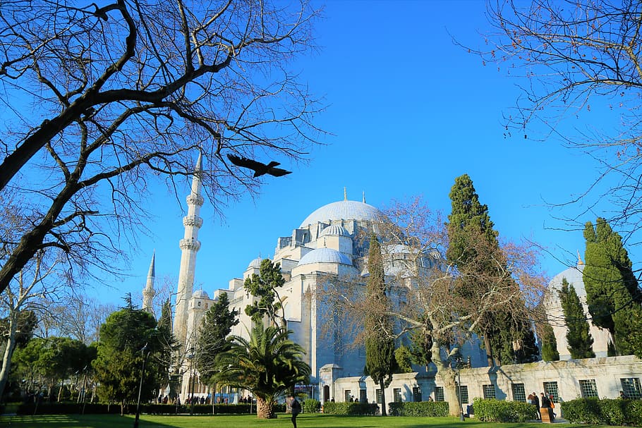 cami, religion, islam, minaret, istanbul, travel, city, architecture