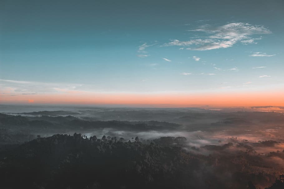 Bird's Eye-view Photography of Green Forest, backlit, beautiful HD wallpaper