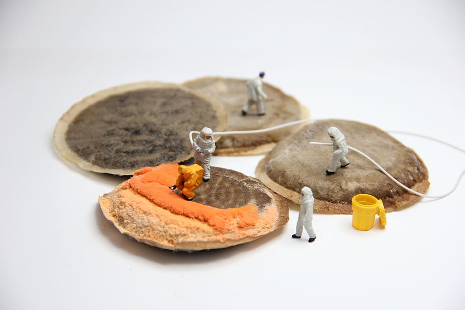 coffee, mold, miniature figures, pad, food, poison, chemistry HD wallpaper