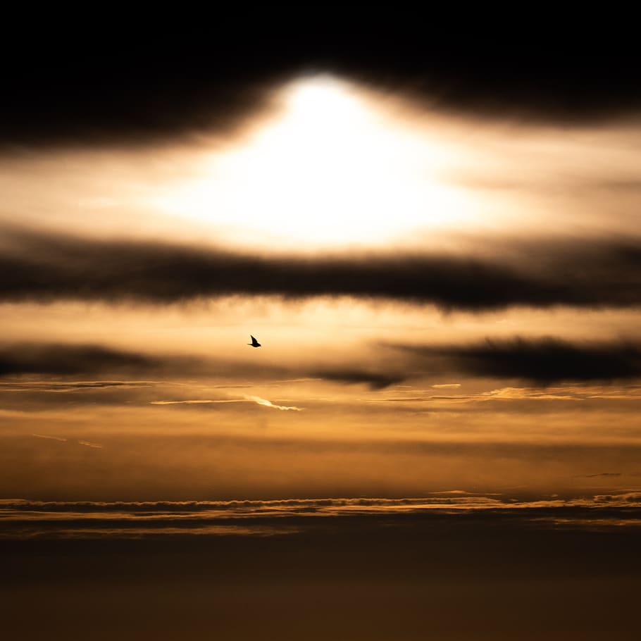 sunrise, explosion, sunset, clouds, dark, bird, silhouette HD wallpaper