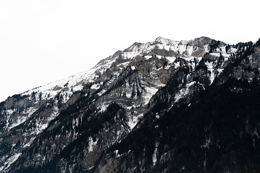 switzerland, goppenstein, trees, winter, cold, mountains, white HD wallpaper