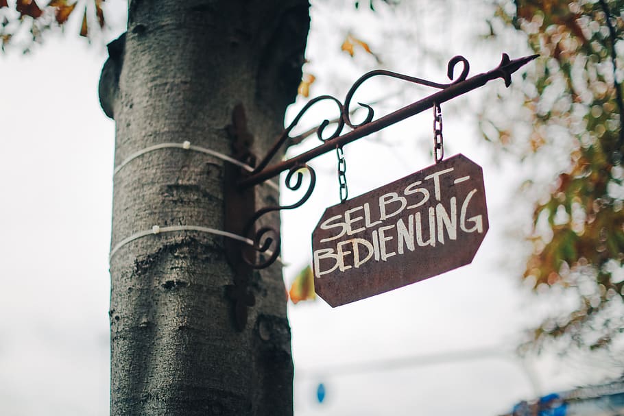 germany, stuttgart, tree, sign, self-service, text, communication HD wallpaper