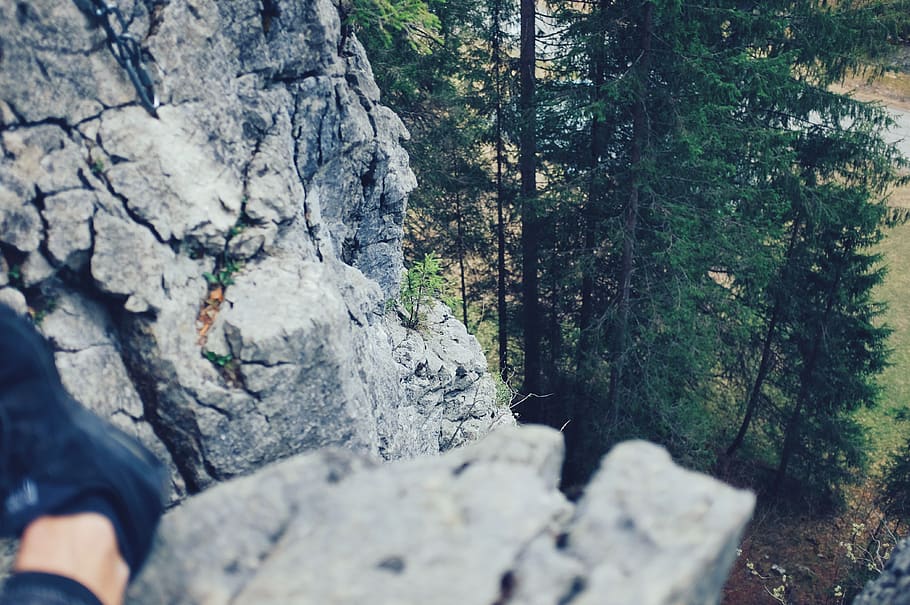austria, hoher ifen, forest, tree, mountain, climbing, up, kleinwalsertal HD wallpaper
