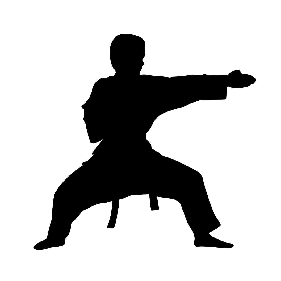 Karate 1080P, 2K, 4K, 5K HD wallpapers free download | Wallpaper Flare