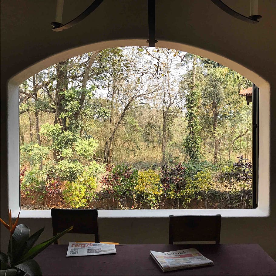 india, goa, window, tree, plant, indoors, no people, nature HD wallpaper